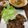 koiko亭's cooksnap of when they made カルビスープ　カルビクッパ　焼肉カルビ.