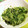 かーしゃ's cooksnap of when they made 海苔の風味♩小菜の辛子和え.