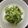 kangaru's cooksnap of when they made 混ぜるだけ☆きゅうりとえのきのワサビ和え.