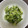 kangaru's cooksnap of when they made 混ぜるだけ☆きゅうりとえのきのワサビ和え.
