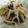 クック6DDPP8☆'s cooksnap of when they made もやしとワカメの中華サラダ.
