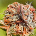 410's cooksnap of when they made 簡単♪作り置き★ごぼうサラダ.