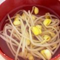 ジョジョ0601's cooksnap of when they made ☆韓国家庭料理☆本場の味・豆もやしスープ.