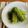 マルんちの丸顔's cooksnap of when they made #苦くない！ゴーヤの煮浸し.