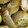 眠い猫0220's cooksnap of when they made マコモタケのおかか和え♪.