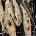 ちゃぎー's cooksnap of when they made 鮎の塩焼き.
