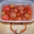 まんば３６'s cooksnap of when they made 夏の暑い日に…☆プチトマトサワー☆母の味.