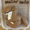 ポメちょん's cooksnap of when they made 【コスパ良し！】生チョコクリーム.