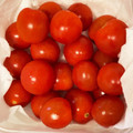 Ayako0405's cooksnap of when they made 新鮮長持ち♡ミニトマトの長期保存.