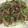 クック2H9MD0☆'s cooksnap of when they made カリッカリ鶏皮ともやしと豆苗炒め.