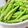 こずっぺ's cooksnap of when they made レンジで蒸し野菜.