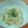 クックM907U3☆'s cooksnap of when they made キャベツとたまごのサラダ.