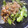いベリこ's cooksnap of when they made じゃこが香ばしい♥ししとうとじゃこ炒め煮.