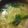 yoko_n9's cooksnap of when they made めちゃうま！ワンタンスープ.
