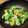 ガリ☆トトロ's cooksnap of when they made えびとブロッコリーの香味炒め.