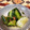 拓斗ここな's cooksnap of when they made 超簡単！やみつき胡瓜　韓国風.