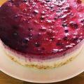 アズサazusa's cooksnap of when they made 三層のブルーベリーレアチーズケーキ.