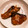 クックCKWZHQ☆'s cooksnap of when they made サバとニンニクの照り煮.