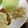 ☆あさ's cooksnap of when they made 時短タラモサラダ☆余ったたらこソースで.