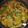 beagleのライラ's cooksnap of when they made なすともやしとピーマンのカレー味噌炒め.