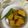 クック49L4Ho☆'s cooksnap of when they made ☆かぼちゃとオクラの煮もの☆.