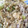 露天好き's cooksnap of when they made 白だしの効いた簡単親子丼！.