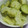 4double5's cooksnap of when they made ☺作り置きにも☆簡単♪ゴーヤのピクルス☺.