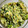 ミント🌿's cooksnap of when they made 春菊の卵とじ.