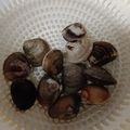 ひっこ's cooksnap of when they made アサリの砂抜き.