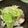 マールマル's cooksnap of when they made 帆立のマリネ☆.