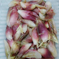 クックMGZ132☆'s cooksnap of when they made 簡単♪美味♪茗荷の甘酢漬け.