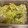 Nkennedy's cooksnap of when they made 簡単！ザワークラウト風キャベツの洋風漬物.