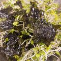 なーなちゃん's cooksnap of when they made 韓国のりとブロッコリースプラウトサラダ.