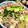 ｡GuMi。's cooksnap of when they made 簡単中華☆ニンニクの芽と豚肉の炒めもの！.