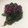 かんじきんぐ's cooksnap of when they made 食用菊とほうれん草のおひたし.