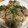 星子☆あられ's cooksnap of when they made ☆簡単☆舞茸の肉巻き〜大葉旨だれ〜.