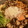 shantimdk's cooksnap of when they made 簡単おかず:秋のきのこたっぷり鍋.