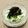 Dellaたん's cooksnap of when they made 1本ぺろり＊きゅうりのつまサラダ＊.