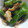 かぴーな's cooksnap of when they made カリカリ豚としし唐のおろしマヨ丼♪.