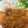 クック1B9WWO☆'s cooksnap of when they made 【バッター液】揚げ物 フライ用 トンカツ.