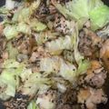 minoriloca's cooksnap of when they made 【下味冷凍】簡単激うま！ゴマチキン.
