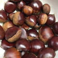 豆乳pudding's cooksnap of when they made 炊飯器で栗の簡単な茹で方.
