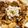 ピグウ's cooksnap of when they made 簡単！鶏舞茸のバター醤油炒め.