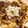 ピグウ's cooksnap of when they made 簡単！鶏舞茸のバター醤油炒め.