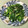 コムギ大好き's cooksnap of when they made つるむらさきの金ごま炒め.