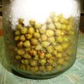 mmameco's cooksnap of when they made 青いまま実山椒.