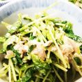 クッキン坊主's cooksnap of when they made 豆苗とみょうが・ツナの柚子胡椒和えサラダ.