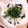 もにゃっこ's cooksnap of when they made しらす丼.