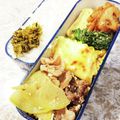 ハチワレねこ's cooksnap of when they made 青パパイヤチャンプルー.