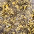 ♡マッキークッキング's cooksnap of when they made 【伝説の｡｡｡】高菜・油炒め.